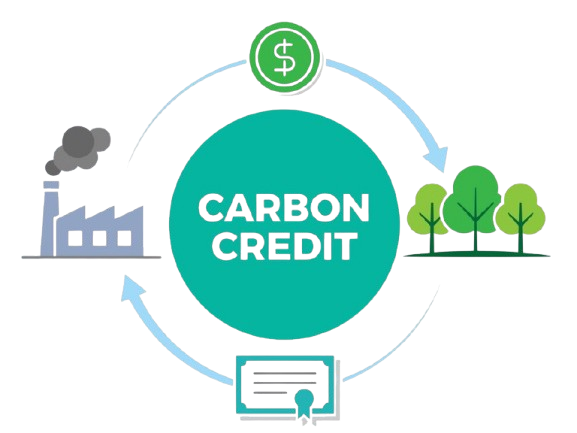 Carbon Credit Solutions